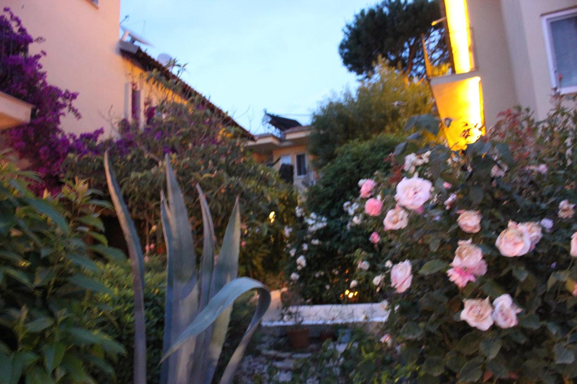 Tunacan Hotel Oludeniz Exterior photo