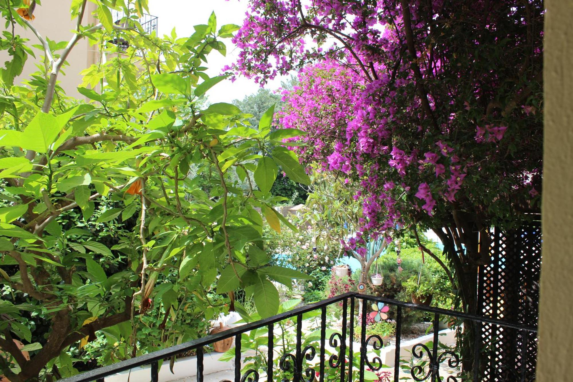 Tunacan Hotel Oludeniz Exterior photo