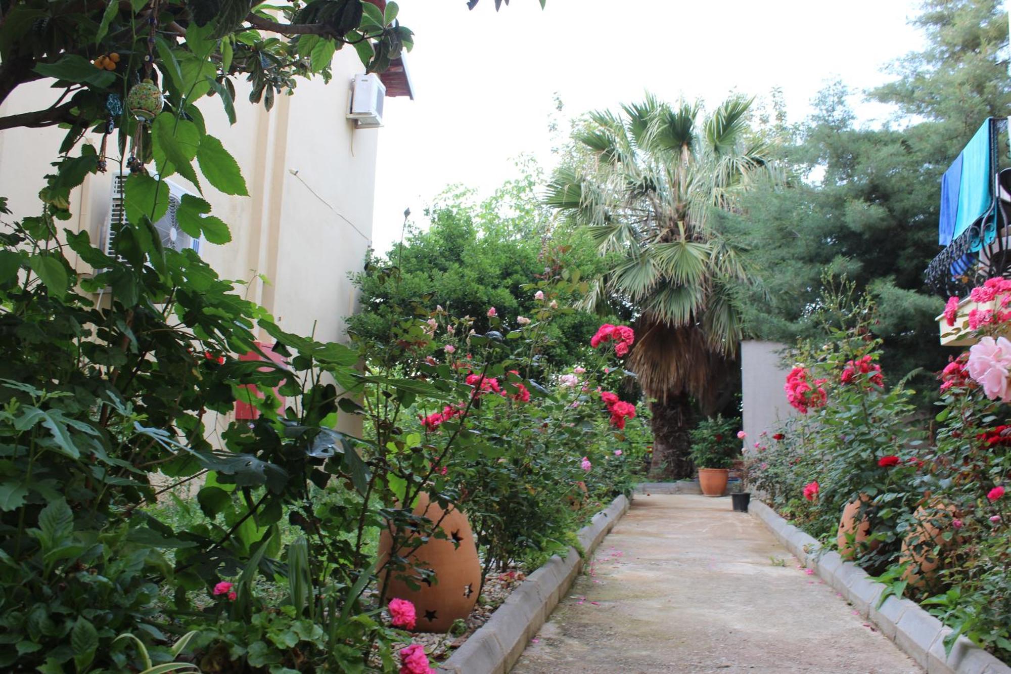 Tunacan Hotel Oludeniz Exterior photo
